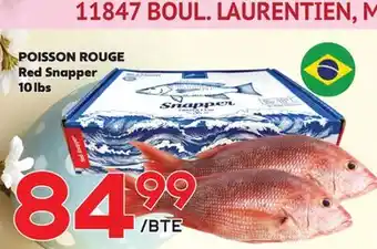Marche Salaberry POISSON ROUGE offer