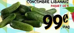 Marche Salaberry CONCOMBRE LIBANAIS offer