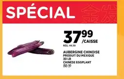 Kim Phat CHINESE EGGPLANT offer
