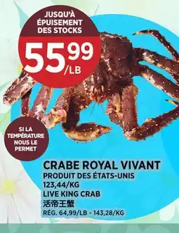 Kim Phat LIVE KING CRAB offer