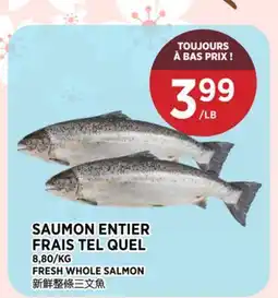 Kim Phat FRESH WHOLE SALMON offer