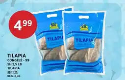 Kim Phat SH TILAPIA offer