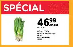 Kim Phat GREEN ONIONS offer