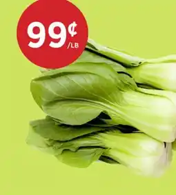 Kim Phat SHANGHAI BOK CHOY offer