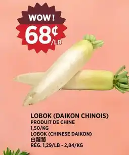 Kim Phat LOBOK (CHINESE DAIKON) offer