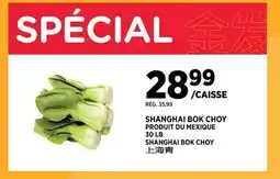 Kim Phat SHANGHAI BOK CHOY offer