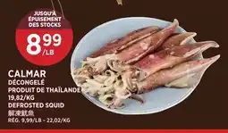 Kim Phat DEFROSTED SQUID offer