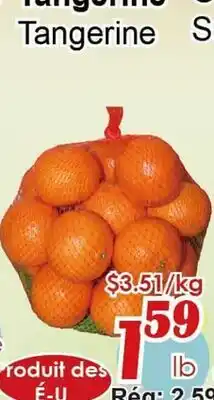 Marche C&T Tangerine offer