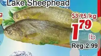 Marche C&T Lake Sheephead offer
