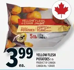 Metro Yellow flesh potatoes offer