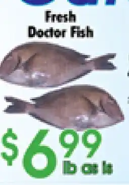 Danforth Food Market Fresh Doctor Fish offer