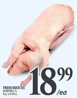 Al Premium Food Mart FRESH DUCK (U) offer
