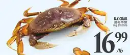 Al Premium Food Mart B.C CRAB offer