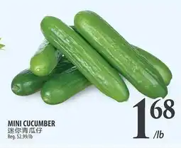 Al Premium Food Mart MINI CUCUMBER offer
