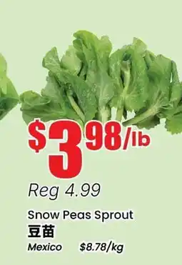 Btrust Supermarket Snow Peas Sprout offer
