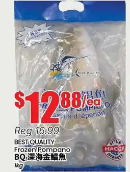 Btrust Supermarket BEST QUALITY Frozen Pompano BQ offer