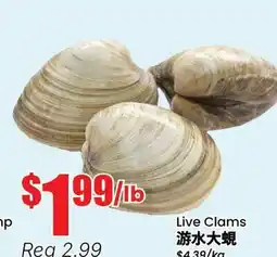 Btrust Supermarket Live Clams offer