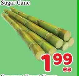 Fresh Value Sugar Cane offer
