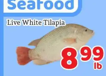 Fresh Value Live White Tilapia offer