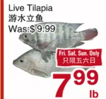 First Choice Supermarket Live Tilapia offer