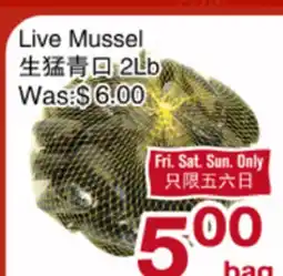 First Choice Supermarket Live Mussel offer