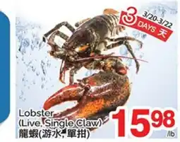 T&T Supermarket LOBSTER offer