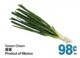T&T Supermarket GREEN ONION offer