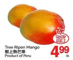 T&T Supermarket TREE RIPEN MANGO offer