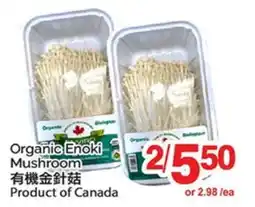 T&T Supermarket ORGANIC ENOKI MUSHROOM offer