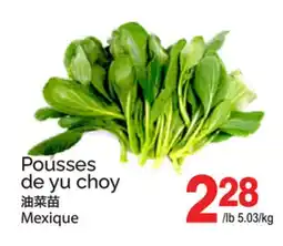 T&T Supermarket POUSSES DE YU CHOY offer