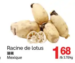 T&T Supermarket RACINE DE LOTUS offer