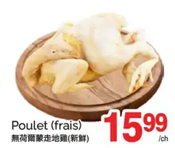 T&T Supermarket POULET (FRAIS) offer