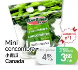 T&T Supermarket MINI CONCOMBRE offer