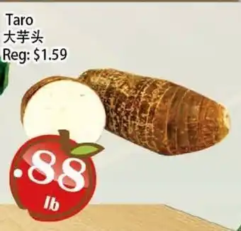 Food Depot Supermarket Taro offer
