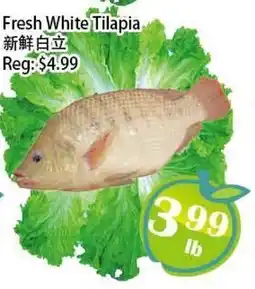 Food Depot Supermarket Fresh White Tilapia offer