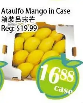 Food Depot Supermarket Ataulfo Mango in Case offer