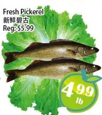Food Depot Supermarket Fresh Pickerel offer