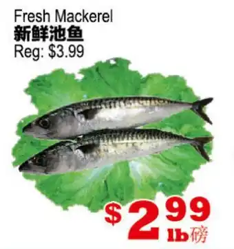 Yuan Ming Supermarket Fresh Mackerel offer