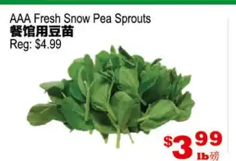 Yuan Ming Supermarket AAA Fresh Snow Pea Sprouts offer