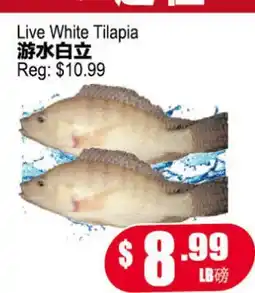 Yuan Ming Supermarket Live White Tilapia offer