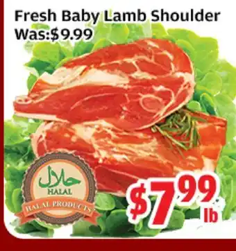 Top Food Supermarket Fresh Baby Lamb Shoulder offer