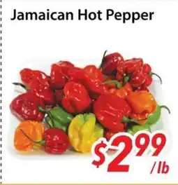 Bestco Food Mart Jamaican Hot Pepper offer