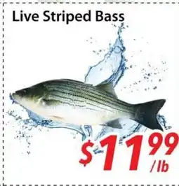 Bestco Food Mart Live Striped Bass offer