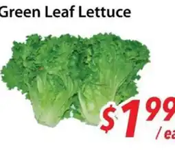 Bestco Food Mart Green Leaf Lettuce offer