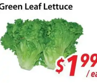 Bestco Food Mart Green Leaf Lettuce offer