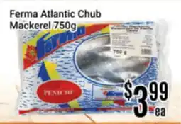 Nations Fresh Foods Ferma Atlantic Chub Mackerel offer