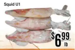 Nations Fresh Foods Squid U1 offer
