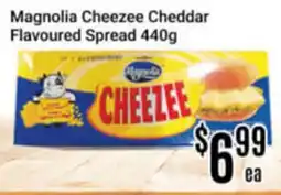 Nations Fresh Foods Magnolia Cheezee Cheddar Flavoured Spread offer