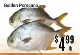Nations Fresh Foods Golden Pompano offer