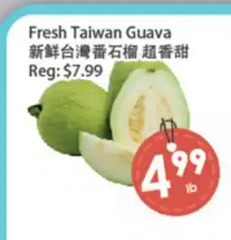 Fresh Palace Supermarket Fresh Taiwan Guava offer